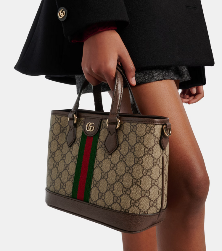Person holding a Gucci handbag with a visible logo and color stripe.
